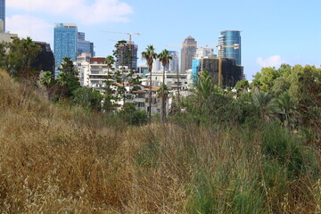 Fototapeta premium Ramat Gan (