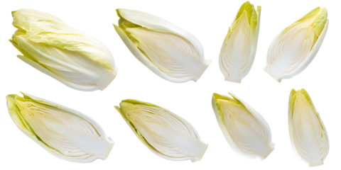 Fresh chicory endive halves  isolated transparent background