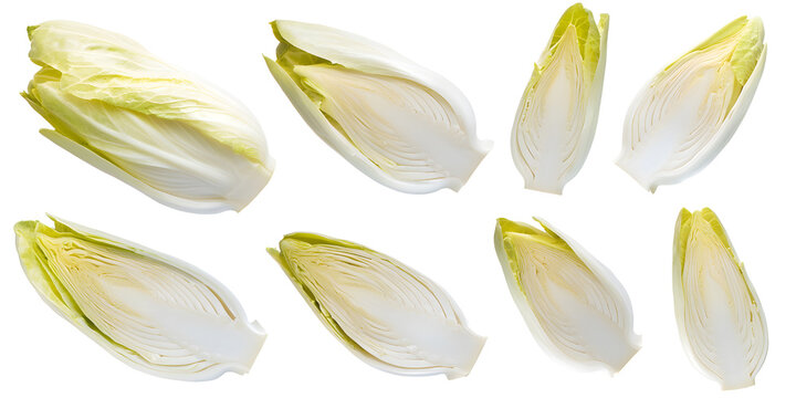 Fresh chicory endive halves  isolated transparent background