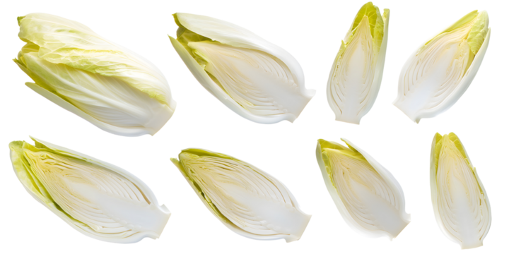 Fresh chicory endive halves  isolated transparent background