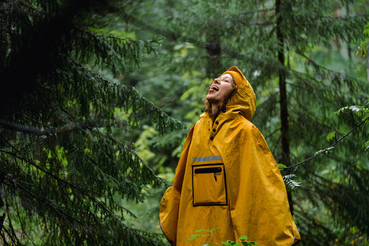 Woman in raincoat lifts head up and sticks out tongue tasting rain in dense firry forest. Tourist in poncho enjoys cloudy weather and thunderstorm on summer day