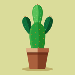 cactus in a pot