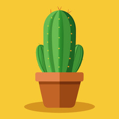 cactus isolated on white