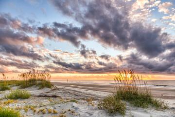 Sea Oats at Sunrise