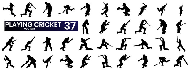 Naklejka premium Here is a vector set related to the game of cricket, with various elements such as batsman, bowler, fielder and cricket equipment in modern, clean style.