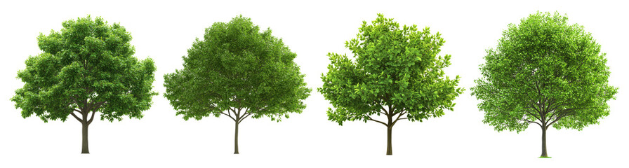 Four Identical Green Trees Isolated on a Black Background