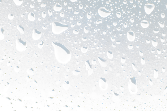 Realistic Water Drops and Rain Splash Overlay, Drops of Water, Wet Rain Splash - Isolated Transparent Background 