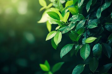 Nature of green leaf in garden at summer. Natural green leaves plants using as spring background cover page greenery environment ecology lime green wallpaper with ai
