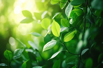 Nature of green leaf in garden at summer. Natural green leaves plants using as spring background cover page greenery environment ecology lime green wallpaper with ai