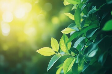 Nature of green leaf in garden at summer. Natural green leaves plants using as spring background cover page greenery environment ecology lime green wallpaper with ai