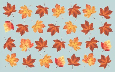 Obraz premium Autumn leaves pattern. Vibrant fall foliage arranged in a symmetrical pattern, evoking a sense of warmth and tranquility.