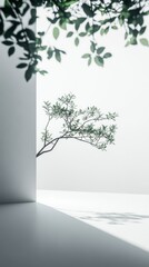 Obraz premium Elegant Plants Showcase on Minimalism White Backdrop: Capturing Vitality and Radiant Beauty, Graphic Resources, Wallpapers, illustration,