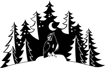 Fototapeta premium Forest Owl