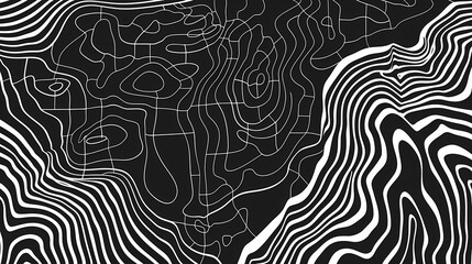 Monochromatic Contour Lines Artistic Topographic Map Abstract  Black And White Artwork