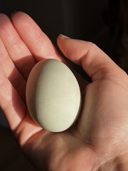 Holding Farm Fresh Egg in Palm of Hand