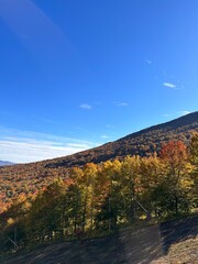 autumn landscape in the mountains