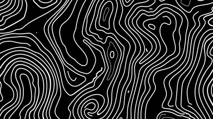 Abstract black and white contour lines illustrating topographic patterns.