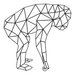 Geometric Monkey Outline