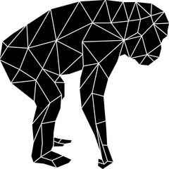 Geometric Monkey