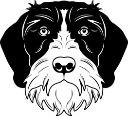 German Wirehaired Pointer