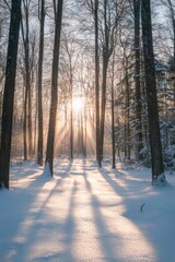 Serenity inSnowy Forest at Dawn: Beauty and Tranquility of Nature Unveiled