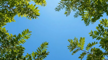 Obraz premium Panoramic View of Green Tree Leaves Against Blue Sky Generative AI