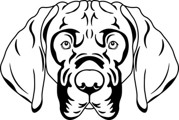 Hanoverian Scenthound