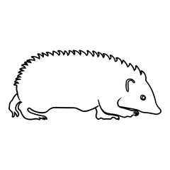 Hedgehog Side View Outline