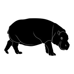 Hippo