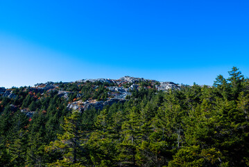 Pine forest and summit of mount Monadnock