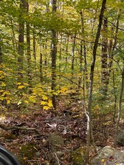 autumn in the mountains of new england