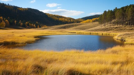 Fototapeta premium Serene Landscape with Yellow Grass and Pond for AR Background Generative AI