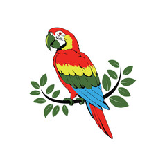 Fototapeta premium A cute colorful parrot vector illustration