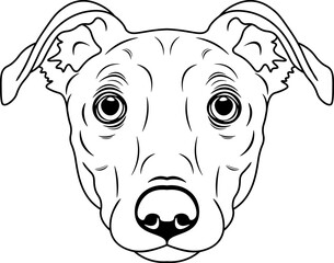 Lurcher