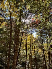 autumn in the mountains of new england
