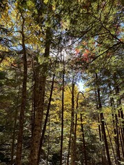 autumn in the mountains of new england