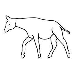 Okapi Side View Outline