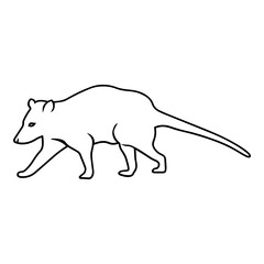 Opossum Side View Outline