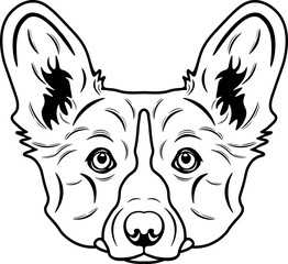 Pembroke Welsh Corgi