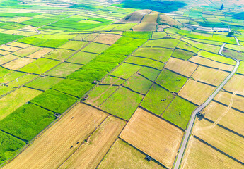Agricultural landscape of Terceira Island in the Azores. Small plots of agricultural land delimited by volcanic stone walls.