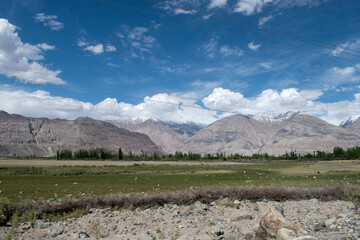 Nubra Vally in Ladakh, India the scenic view of leh ladakh with free space