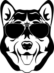 Alaskan Malamute In Sunglasses