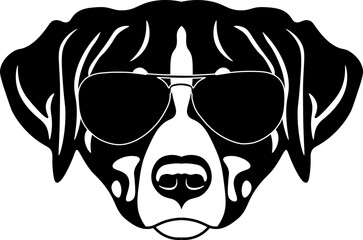 Appenzeller Sennenhund In Sunglasses