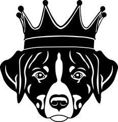 Appenzeller Sennenhund Wearing A Crown