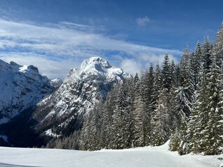 snow covered mountains