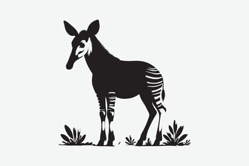 Okapi  Vector art and illustration