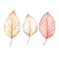 Watercolor Beech Leaf in Three Colors on White Background Generative AI