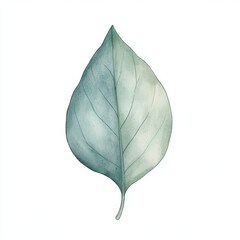 Minimalistic Watercolor Single Leaf on White Background for Nature and Design Concepts Generative AI
