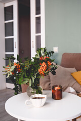 A Cozy Living Room Featuring a Soft Blanket, Lush Green Plants, and a Warm Cup of Coffee