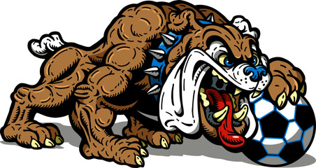 full body bulldog mascot holding soccer ball for school, college or league sports